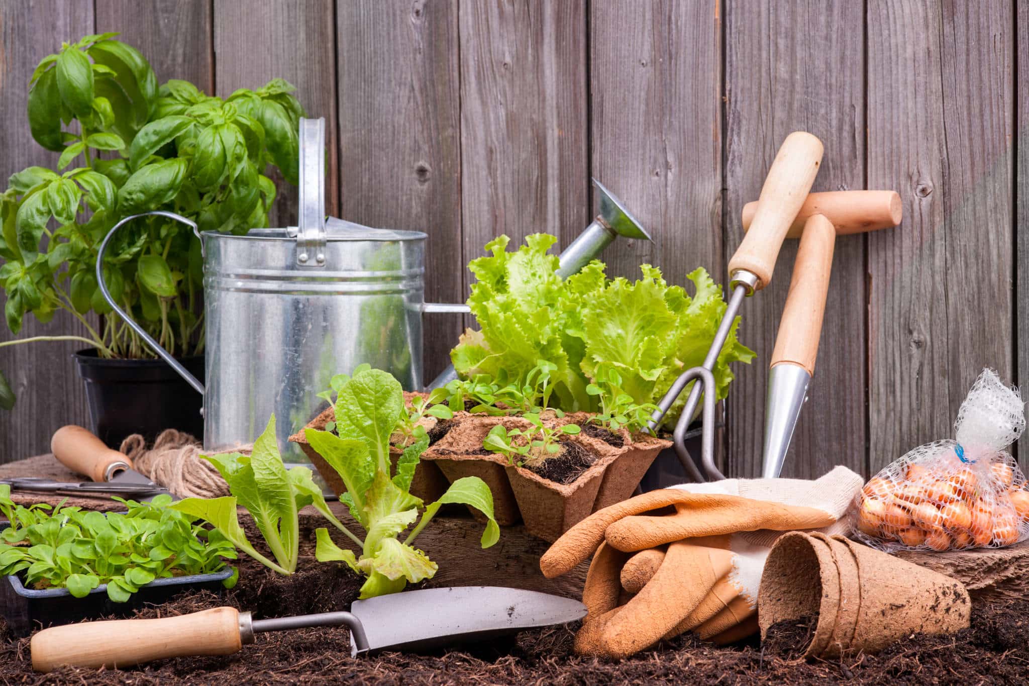 5 Ways That Gardening Can Help You Grow